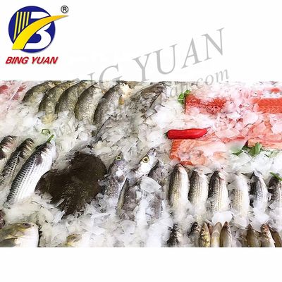 R404A 220V 12T ফ্লেক আইস মেকার মেশিন, বাণিজ্যিক আইস মেকার মেশিন