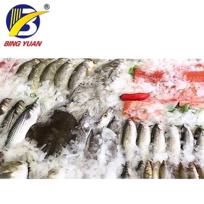 ফিশিং বোটে হাই পারফরম্যান্স ইয়িক্সিং আইসিএস স্নো ফ্লেক আইস মেশিন