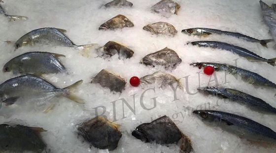 30 টন দৈনিক ক্যাপাসিটি ফ্লেক আইস মেশিন, এনার্জি সেভিং-অটোমেটিক আইস মেকার