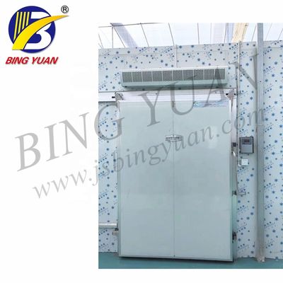200 কেডব্লু 200 মিমি আর 22450 ভি ফল এবং সবজির জন্য কোল্ড স্টোরেজ রুম